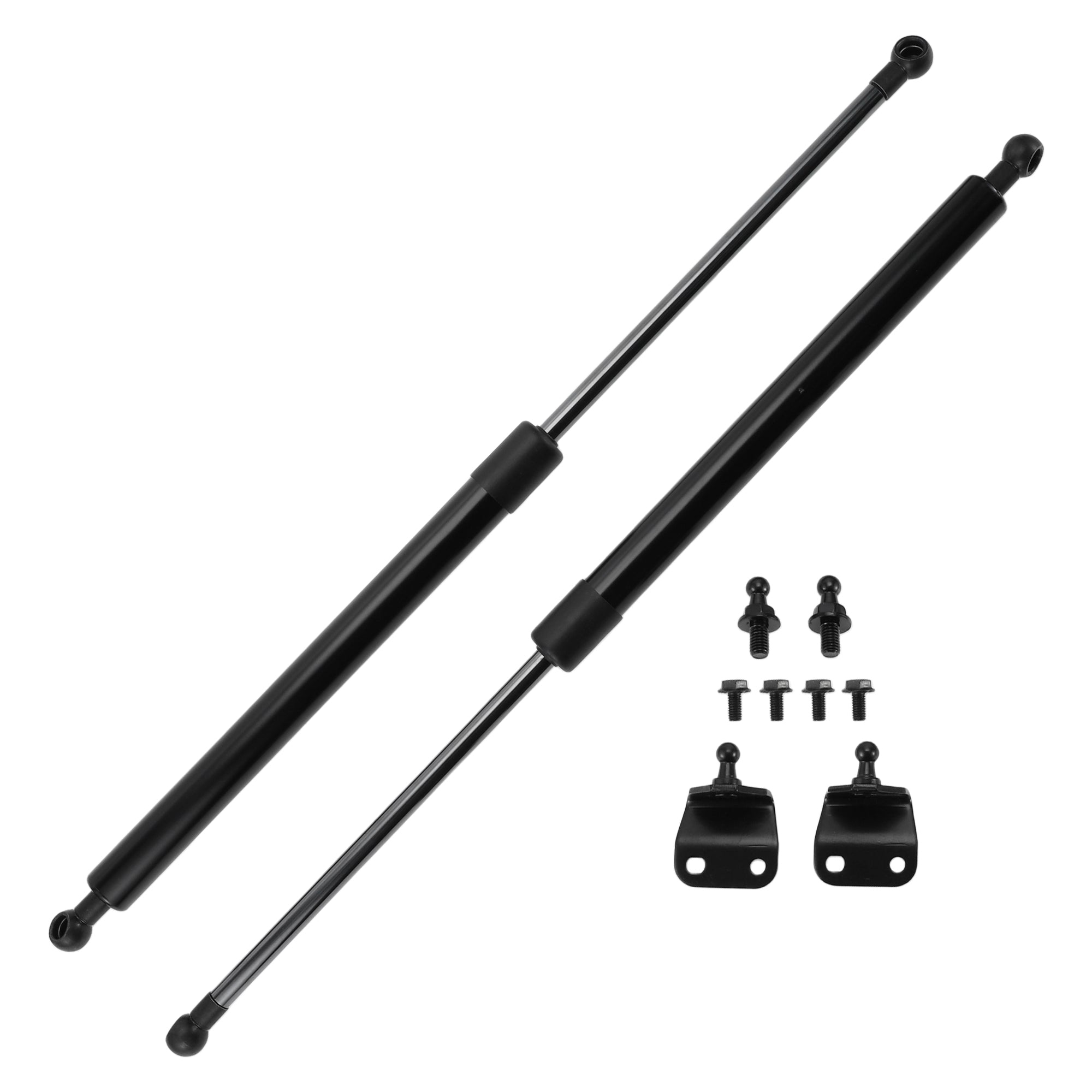 Rear Hatch Lift Supports