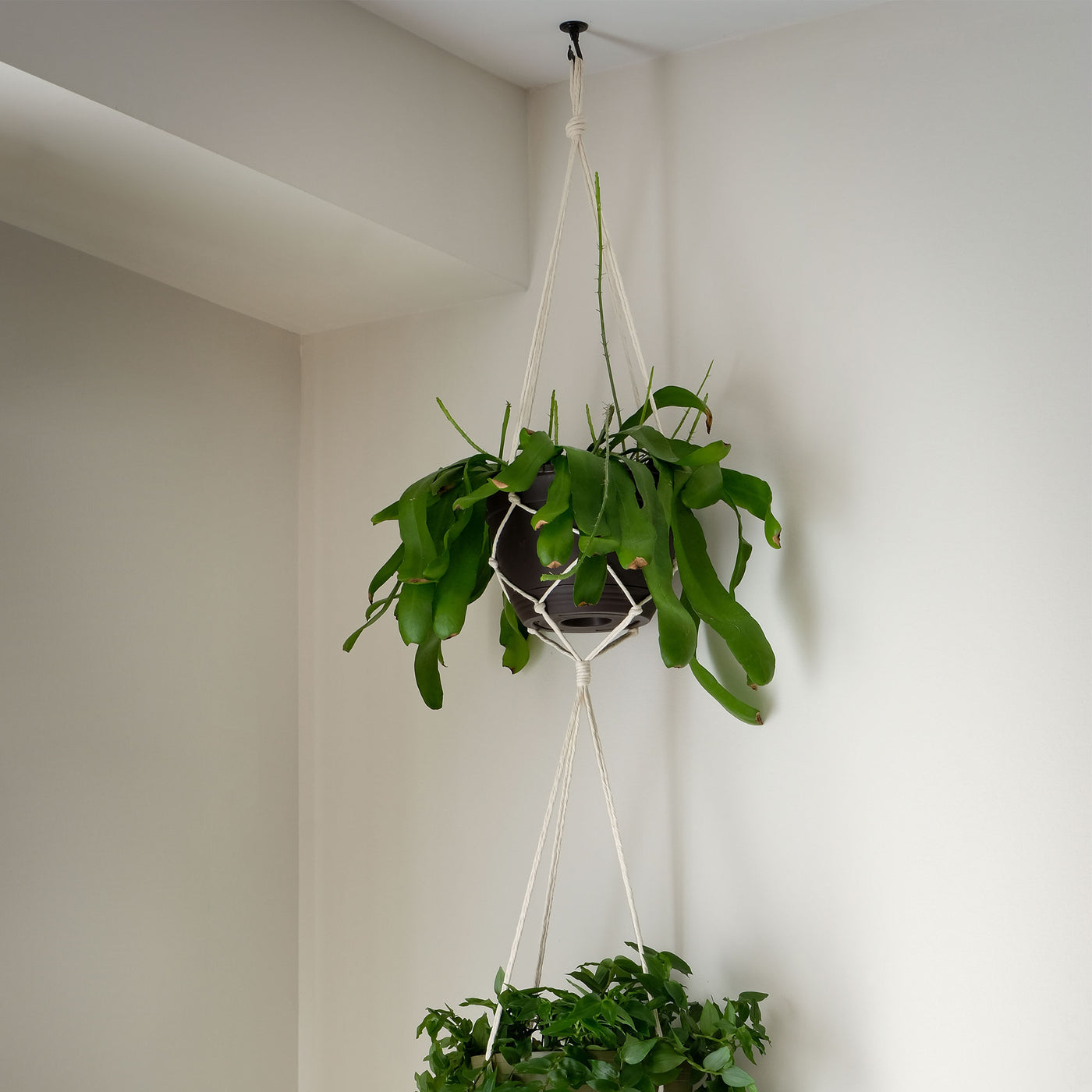Harfington Ceiling Hooks for Hanging Chandeliers Plants
