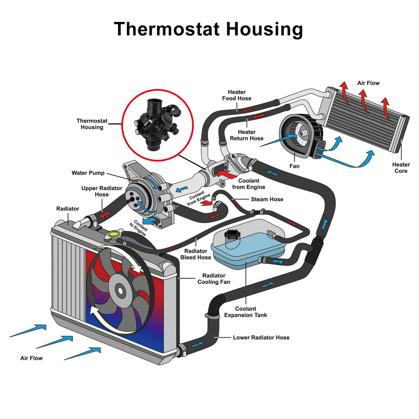 X AUTOHAUX Thermostat Housing Assembly 11537601158 Engine Coolant Thermostat Housing Assembly for BMW X1 X5 X6 135i 335i 2011 2012 2013