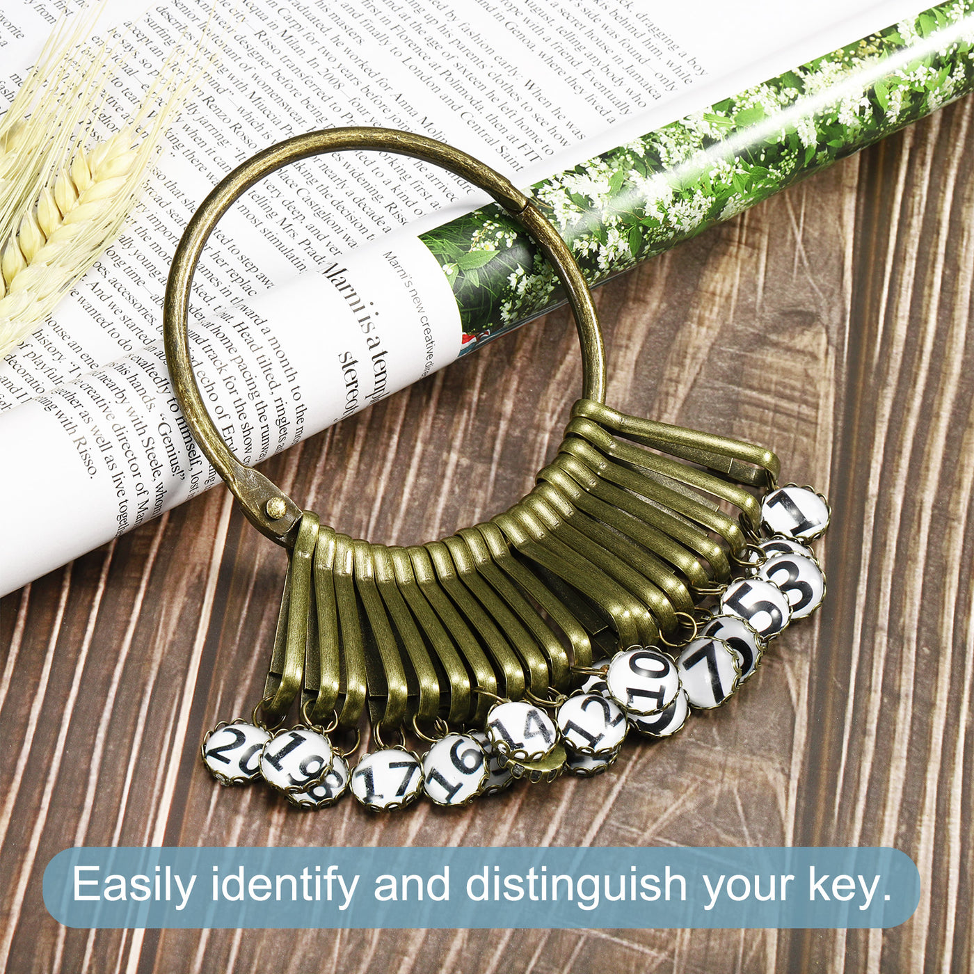 Harfington 3.4 Inch Dia Key Organizer Keychain, 1pcs Key Management Holder with 20 Digits Buckle Ring for Office, Bronze
