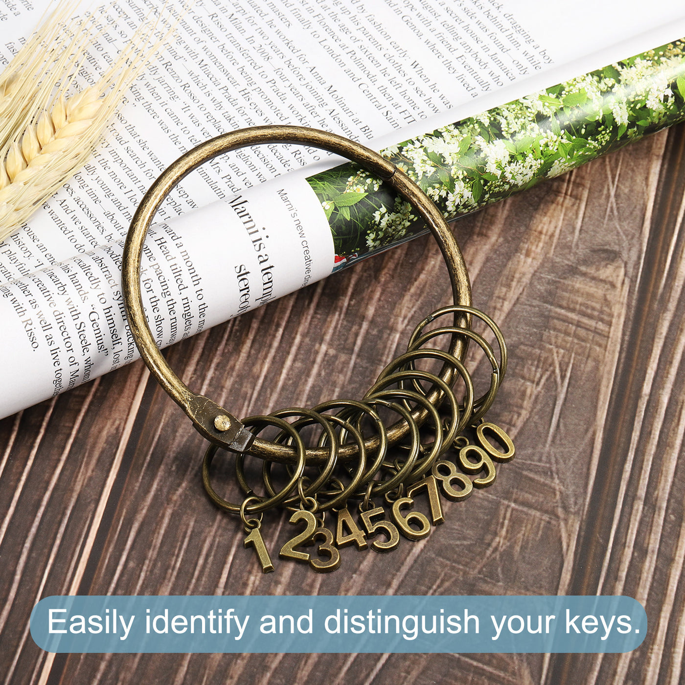 Harfington 3.4 Inch Dia Key Organizer Keychain, 2pcs Key Management Holder with 10 Digits Key Rings for Office, Bronze