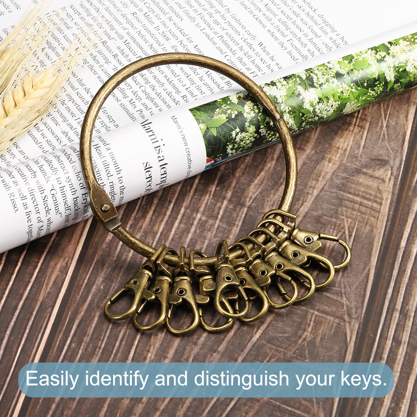 Harfington 3.4 Inch Dia Key Organizer Keychain, 1pcs Key Management Holder with 10 Buckle Ring for Office, Bronze