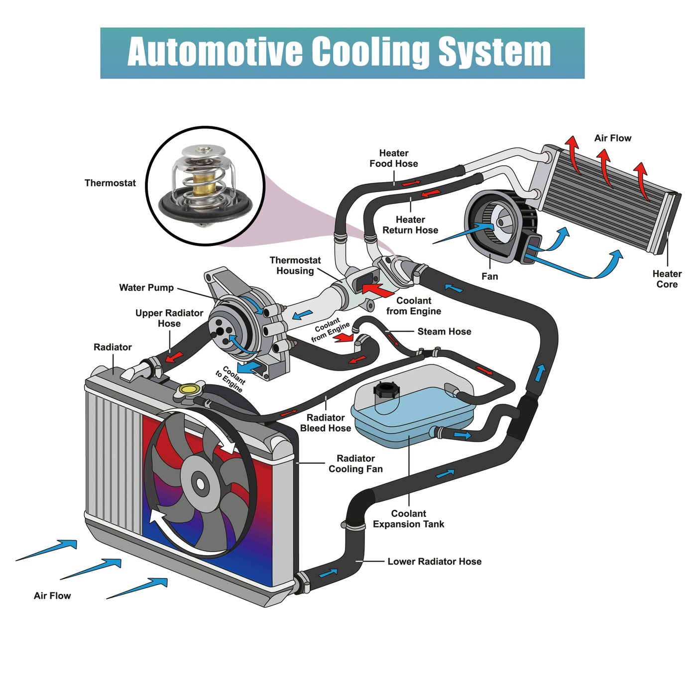 X AUTOHAUX 061935R0000 Engine Coolant Thermostat Replacement for Honda FIT 2015-2020 Aluminum Rubber
